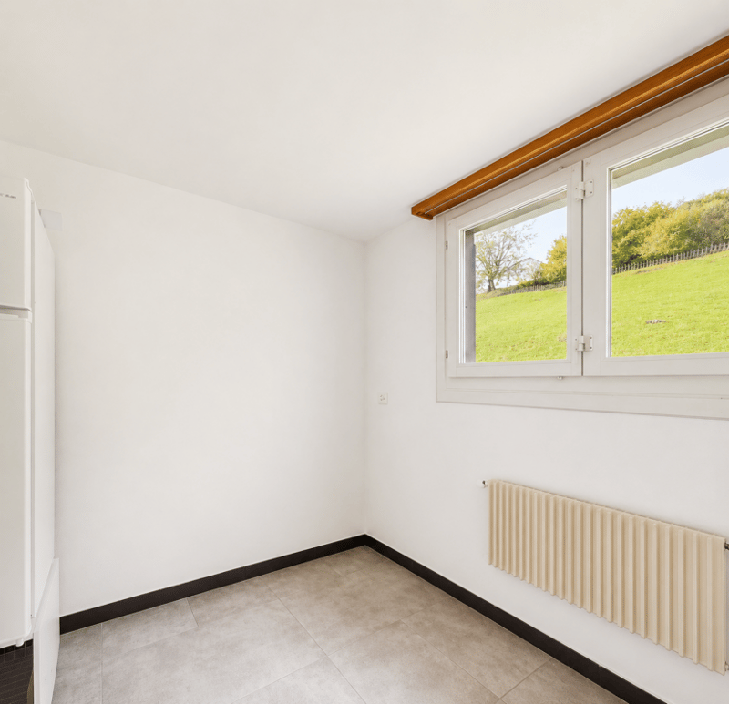 Rural 4-room apartment with a dreamy view (3)