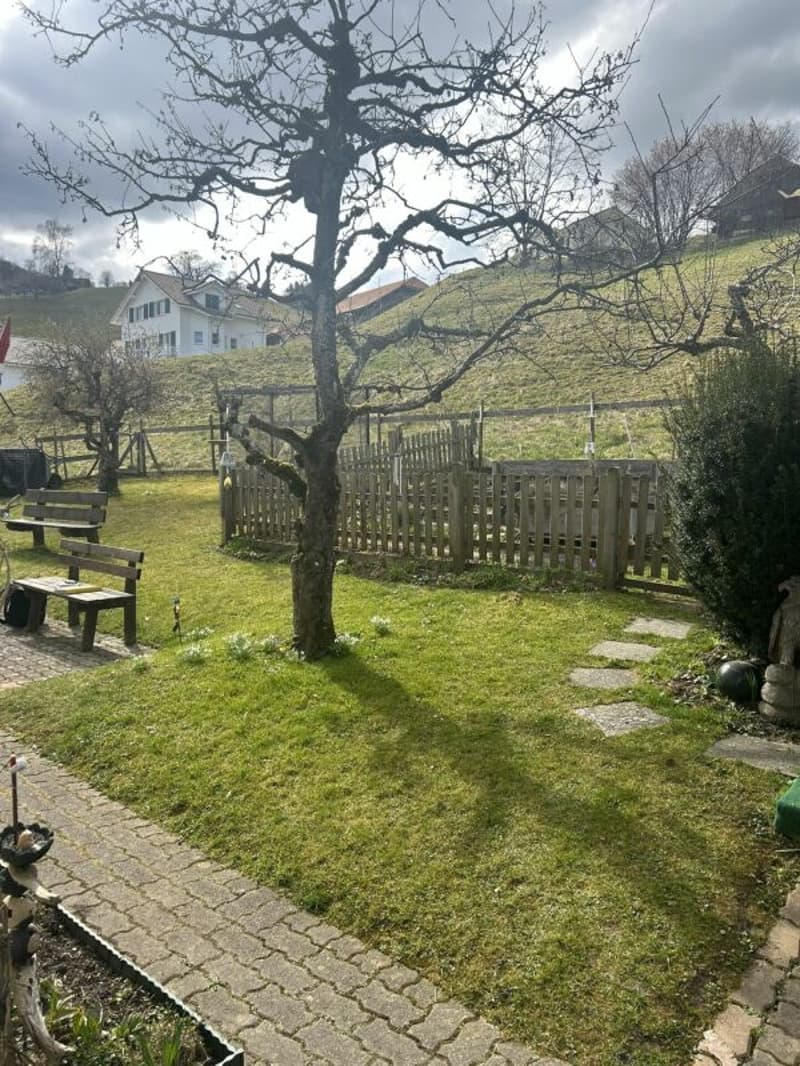 Rural 4-room apartment with a dreamy view (13)