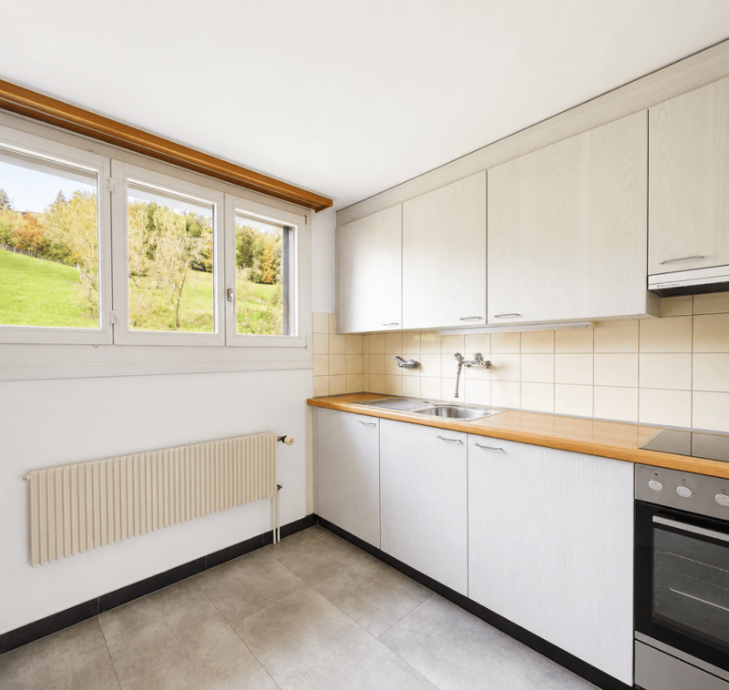 Rural 4-room apartment with a dreamy view (2)
