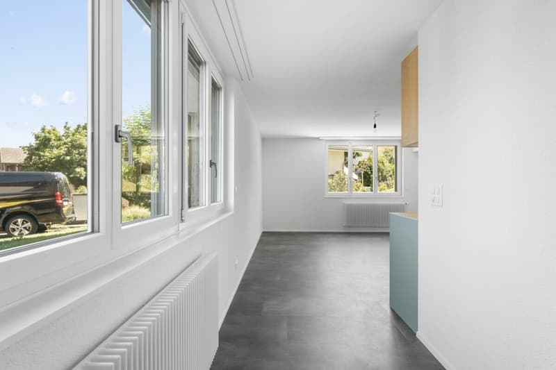 aus klein mach gross - frisch renovierte Studiowohnung an zentraler Lage zu vermieten (7)