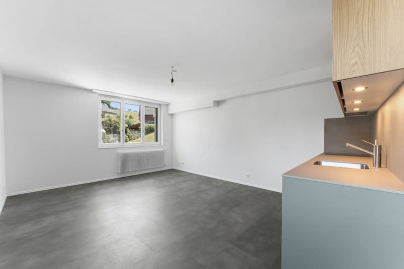 aus klein mach gross - frisch renovierte Studiowohnung an zentraler Lage zu vermieten (5)