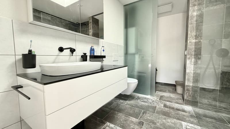 Move in & feel at home - hochwertige Attikawohnung für Expats & Professionals (8)