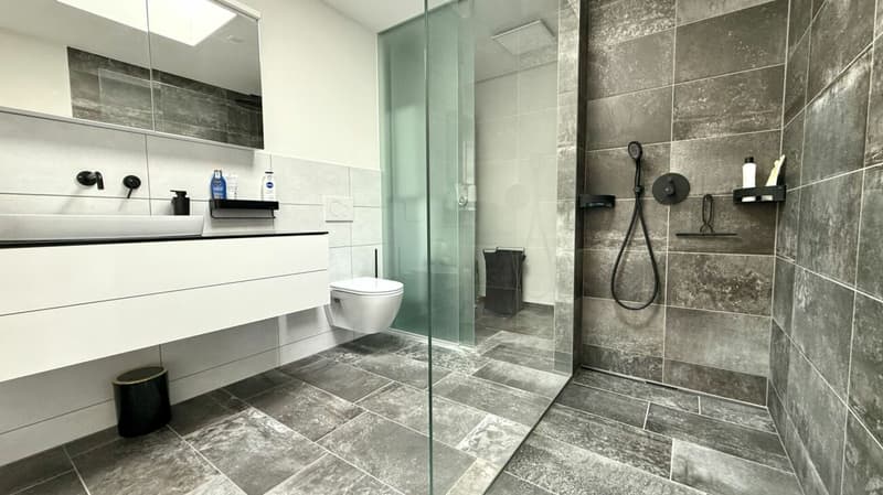 Move in & feel at home - hochwertige Attikawohnung für Expats & Professionals (7)