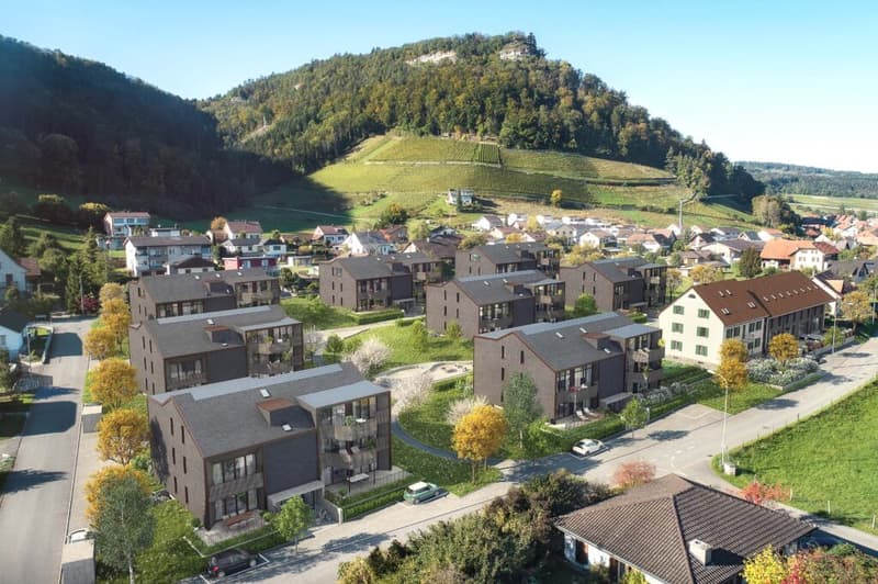 Umgebung