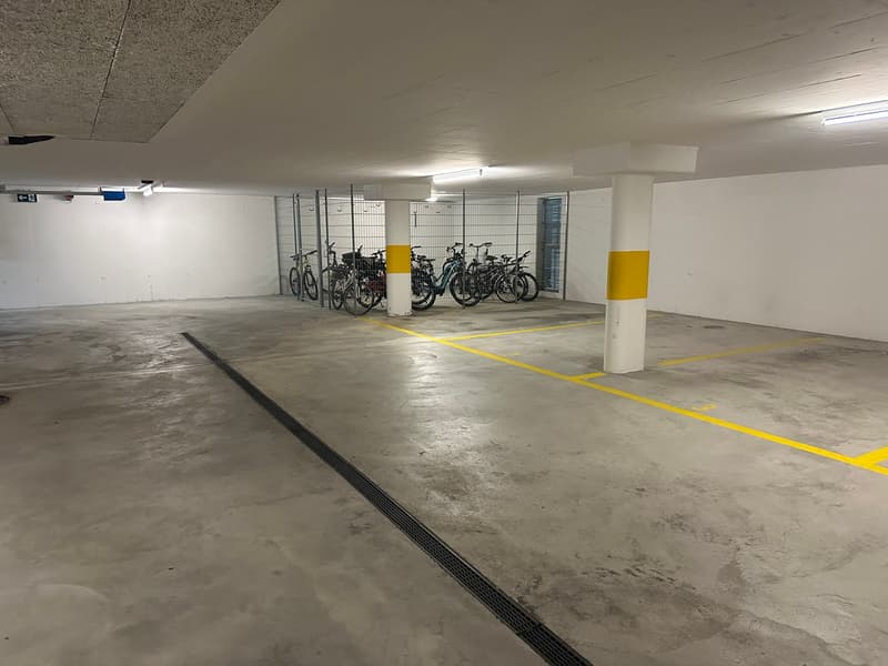 Einstellhallenplatz zu vermieten (3)