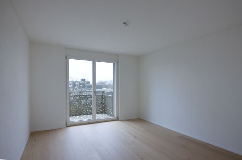 Zimmer-2