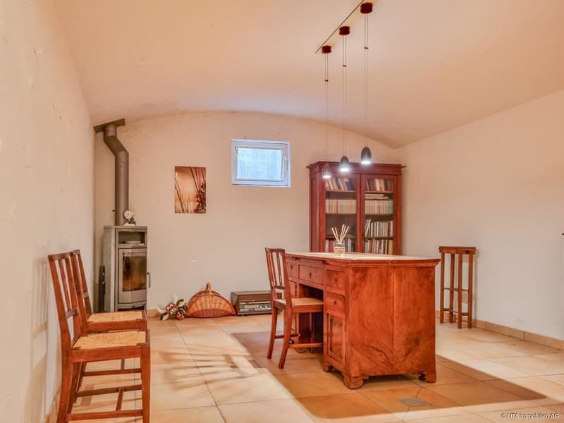 Weinstube mit Schwedenofen UG
