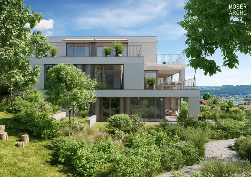 Dintikon_Haus_C