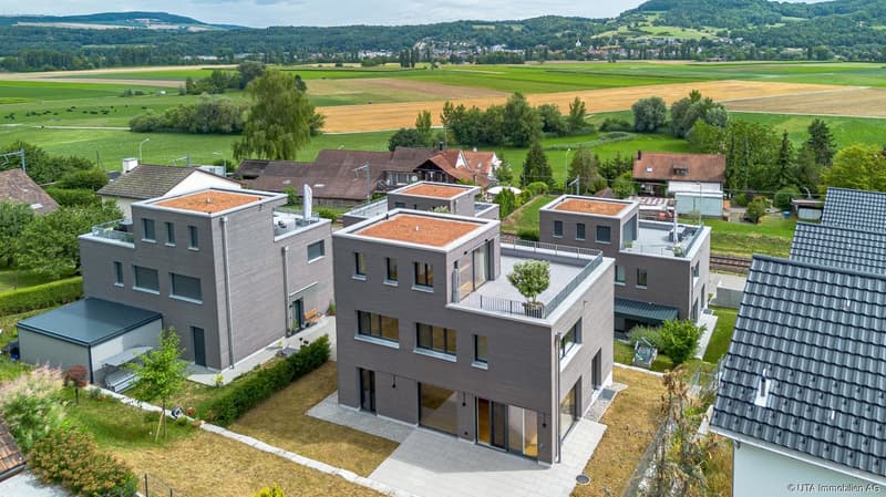 Newly built single-family house with spacious space and several features (2)