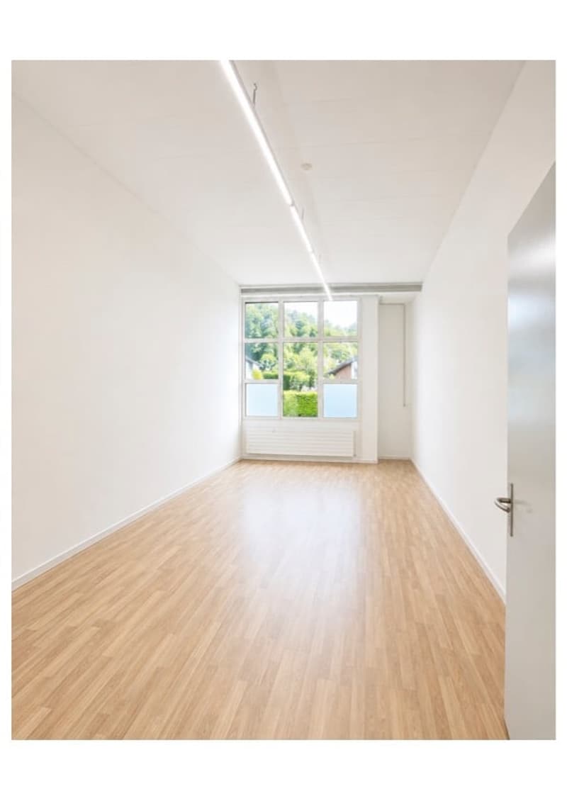 Räume für Büro, Atelier, Therapieraum, Yogakurse, Photo-Shooting, Künsteratellier (6)