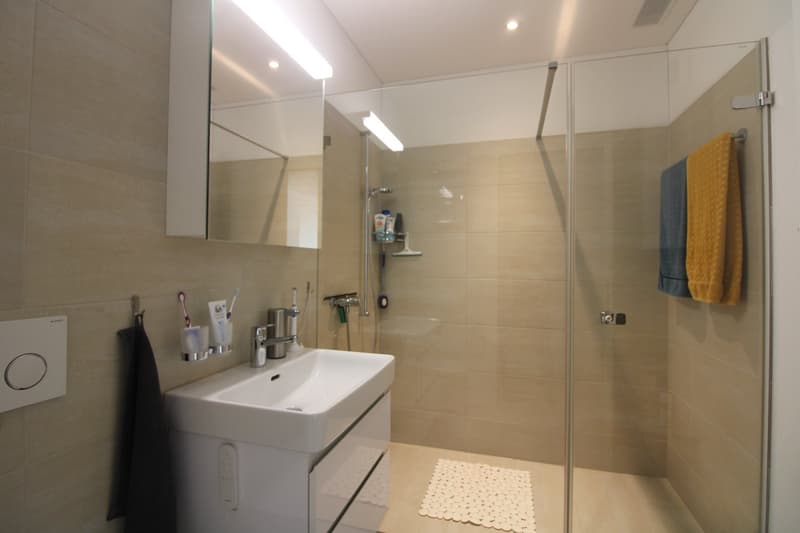 modern bathroom with white sink, mirror, shower, and towel rack