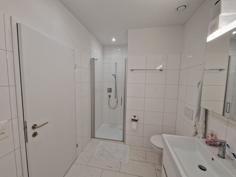Appartement de jardin spacieux 4,5 pièces (12)