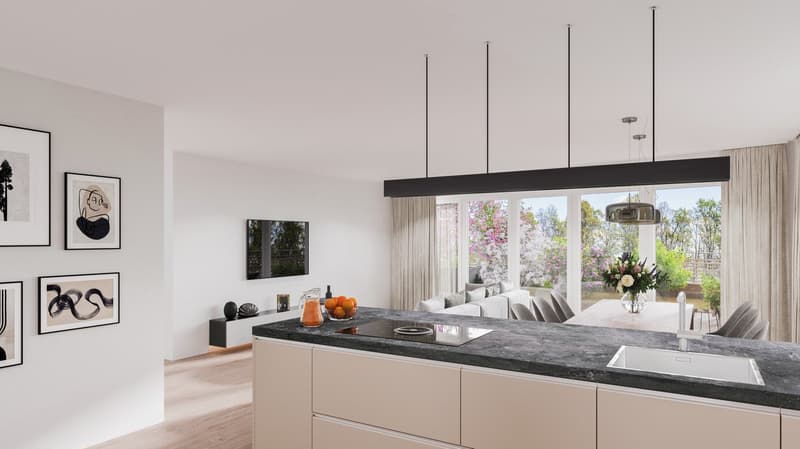 Maison unifamiliale neuve de 5,5 pièces avec terrasse ensoleillée (4)