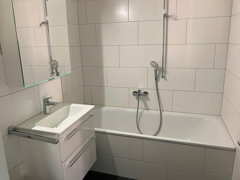 Bright 3.5-room apartment with balcony in Egliswil (6)