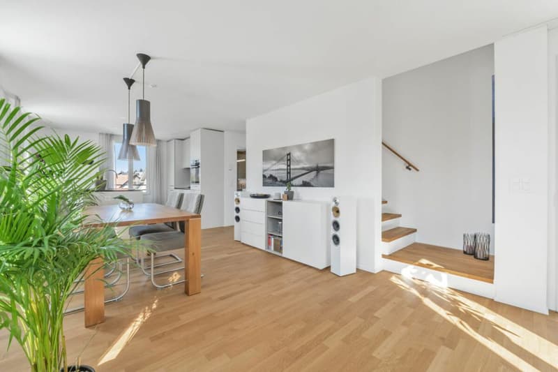 Appartamento-mansarda elegante e di alta qualità con grande galleria, balcone e ambiente di vita tranquillo (3)