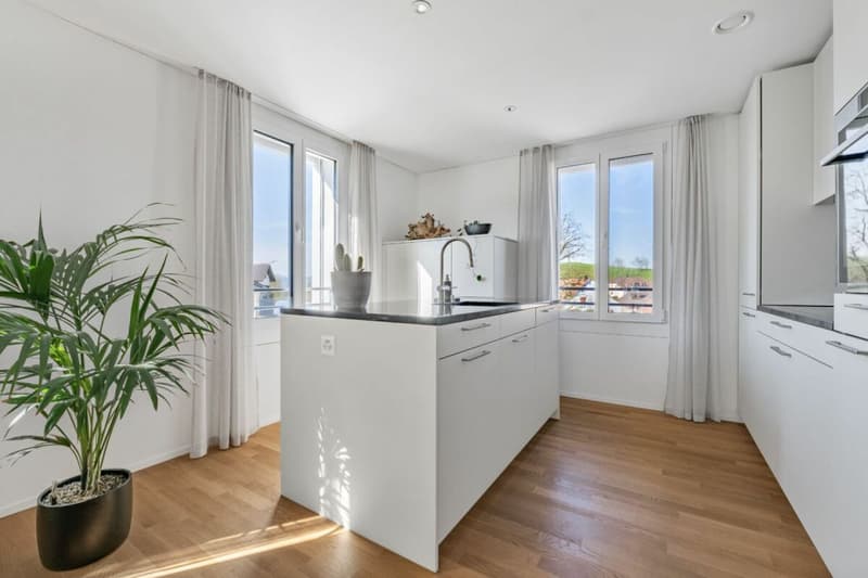 Appartamento-mansarda elegante e di alta qualità con grande galleria, balcone e ambiente di vita tranquillo (2)