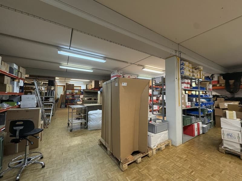 GEWERBEFLÄCHE - INDUSTRIE - WERKSTATT (3)