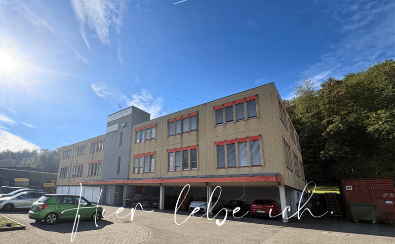 GEWERBEFLÄCHE - INDUSTRIE - WERKSTATT (1)