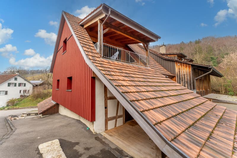 Incantevole appartamento maisonette in una fattoria ristrutturata (10)