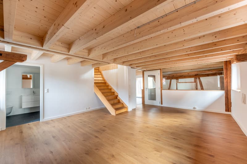 Incantevole appartamento maisonette in una fattoria ristrutturata (1)
