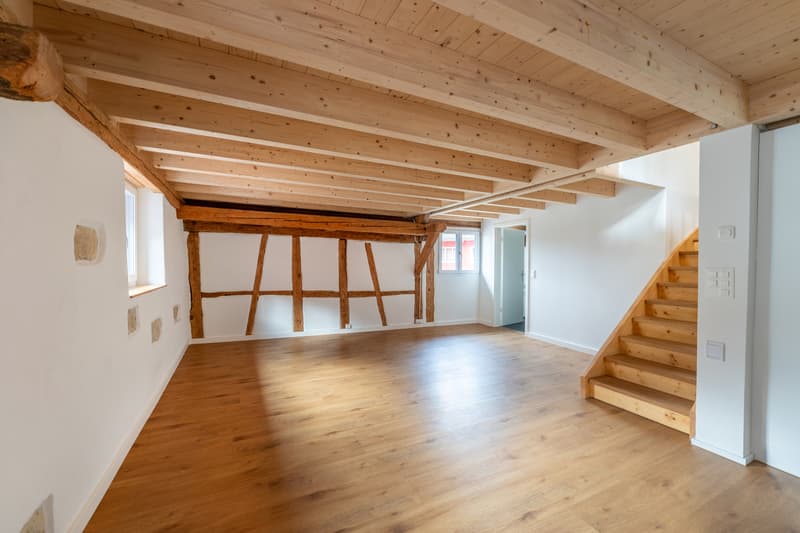 Incantevole appartamento maisonette in una fattoria ristrutturata (2)