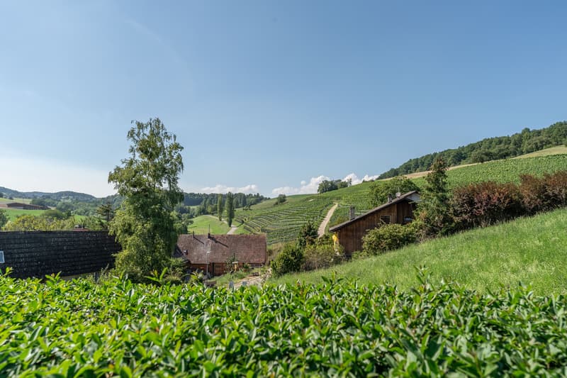"A Altdorf, il mondo è ancora in ordine" (12)