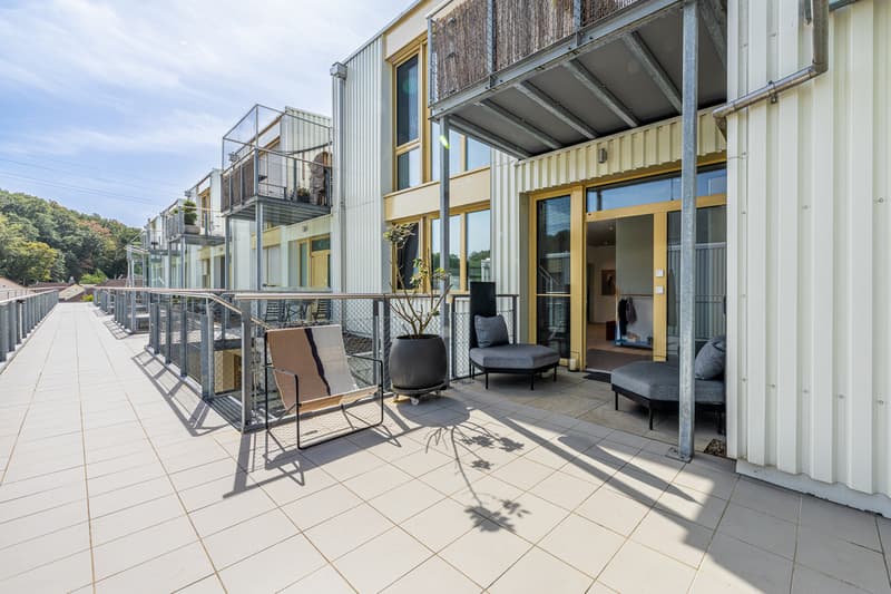 Urbanes Wohnen auf zwei Ebenen - grosszügige Maisonette-Attikawohnung (2)