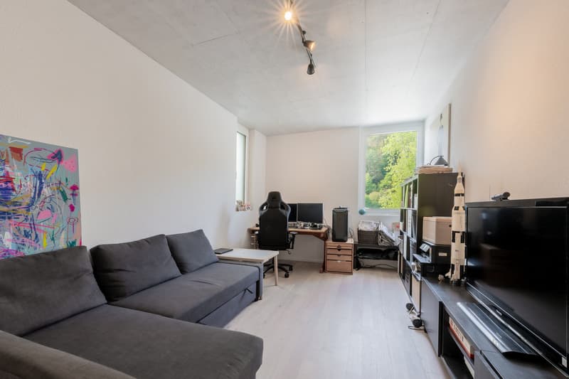 Urbanes Wohnen auf zwei Ebenen - grosszügige Maisonette-Attikawohnung (10)