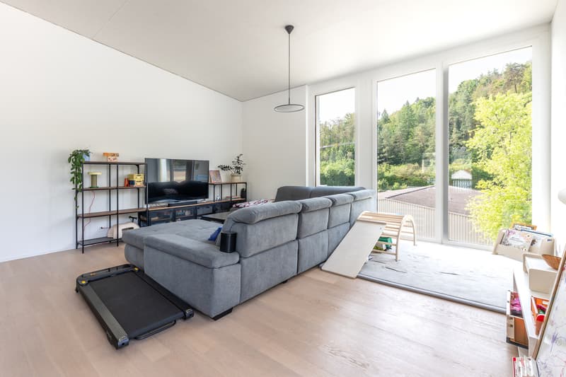 Urbanes Wohnen auf zwei Ebenen - grosszügige Maisonette-Attikawohnung (4)