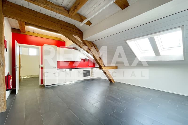 Rental Property - Commercial Property (7)