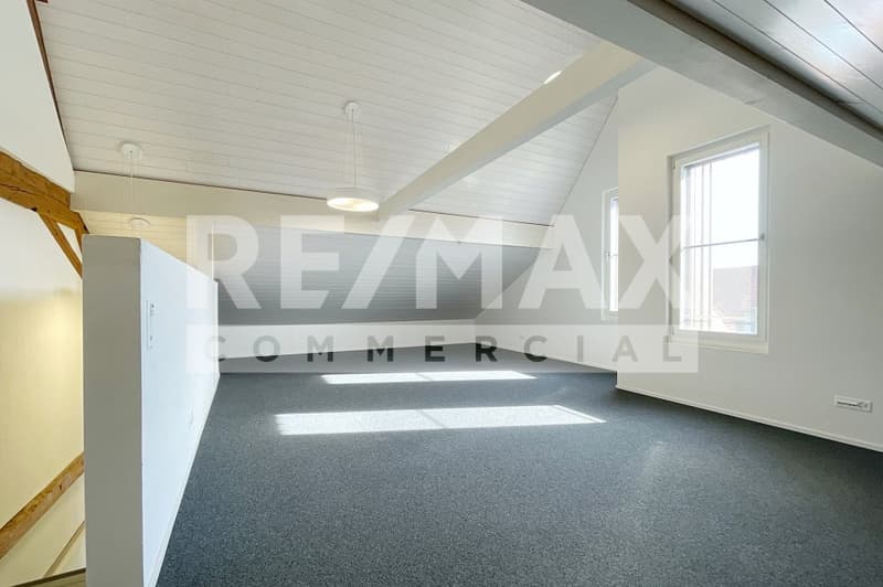 Rental Property - Commercial Property (5)