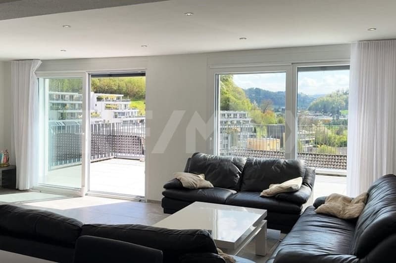 Modern dream house on a slope with a distant view (2)