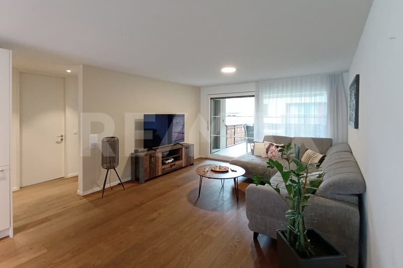 Attractive 3.5-room apartment, modern, sustainable, and perfectly located (3)