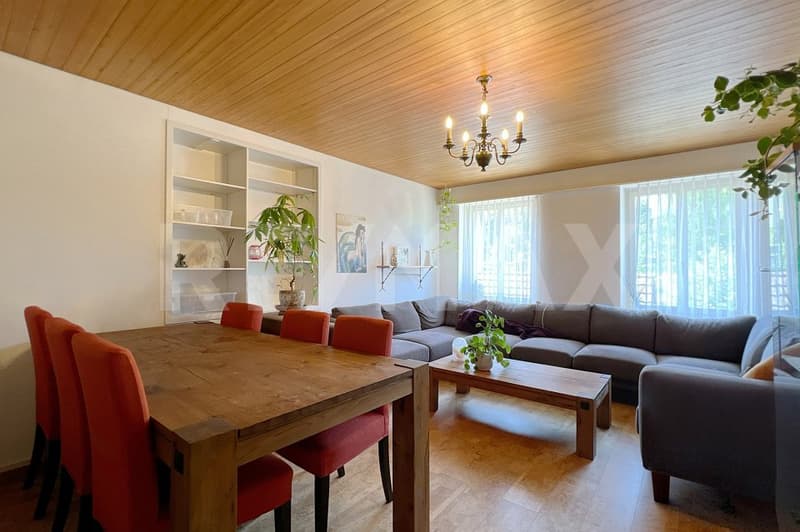 Zentral gelegene Wohnung mit Dachterrasse und Schlossblick (4)