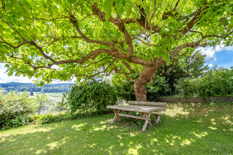 Sitzplatz im Grünen