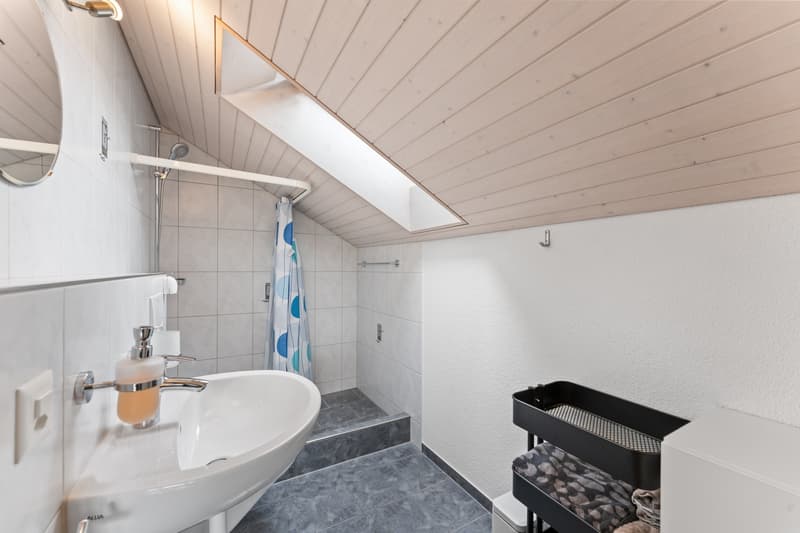 5.5 - 6.5 Zimmerhaus mit geräumiger Doppelgarage (13)