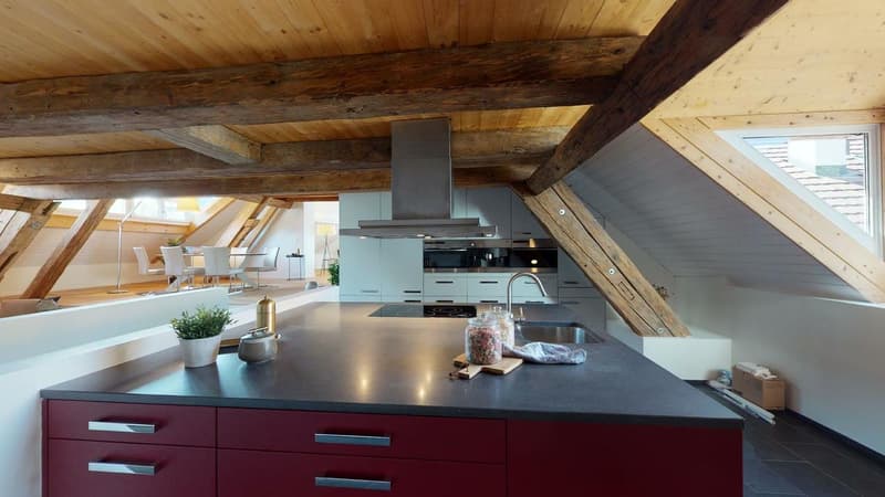 320 m2 grandiose LOFT - Wohnung  Option... Einbau eines Dachbalkons! (2)