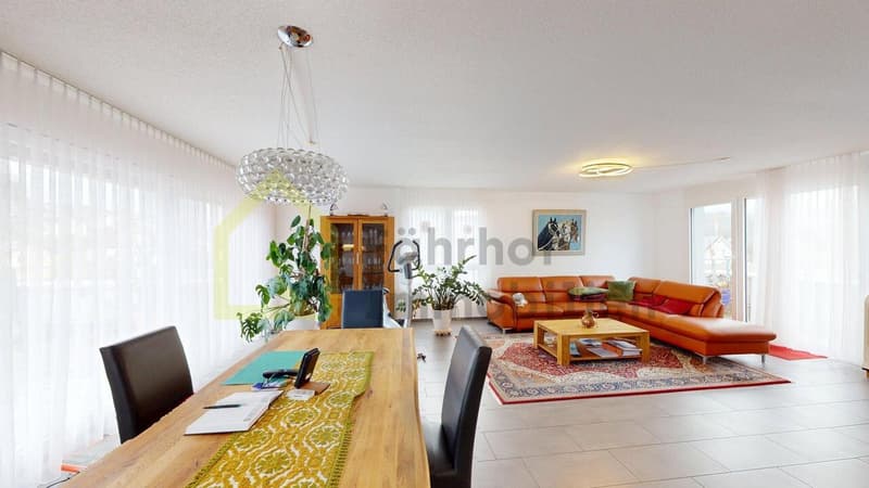Exclusive attic apartment with a dreamy rooftop terrace (2)