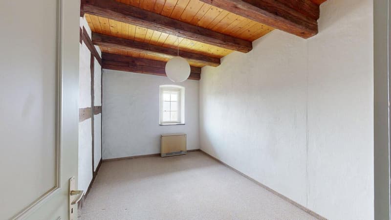 Objet de prédilection - Appartement maisonnette spacieux avec charme (11)