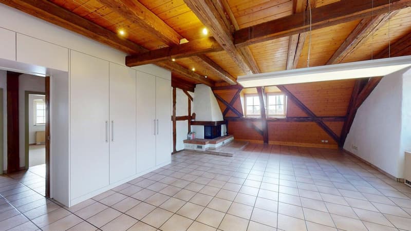 Objet de prédilection - Appartement maisonnette spacieux avec charme (5)