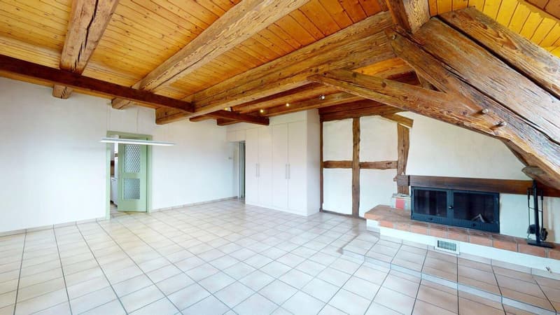 Objet de prédilection - Appartement maisonnette spacieux avec charme (2)