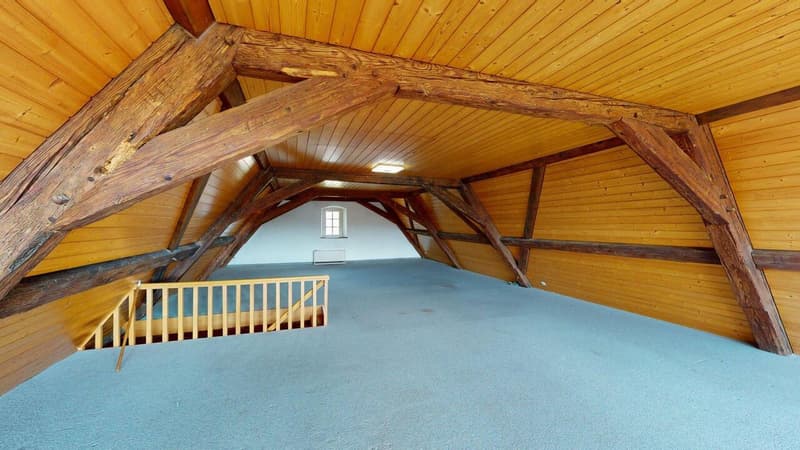 Objet de prédilection - Appartement maisonnette spacieux avec charme (13)