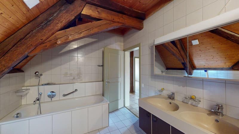 Objet de prédilection - Appartement maisonnette spacieux avec charme (8)