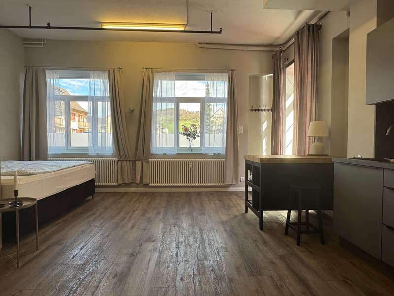 Loft / Studio within walking distance of Frenkendorf train station (7)