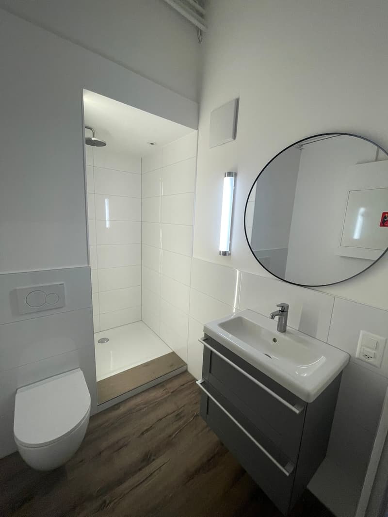 Loft / Studio within walking distance of Frenkendorf train station (3)