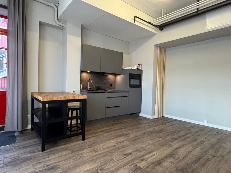 Loft / Studio within walking distance of Frenkendorf train station (2)