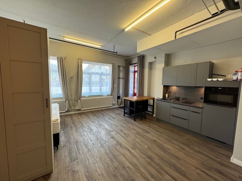 Loft / Studio within walking distance of Frenkendorf train station (6)