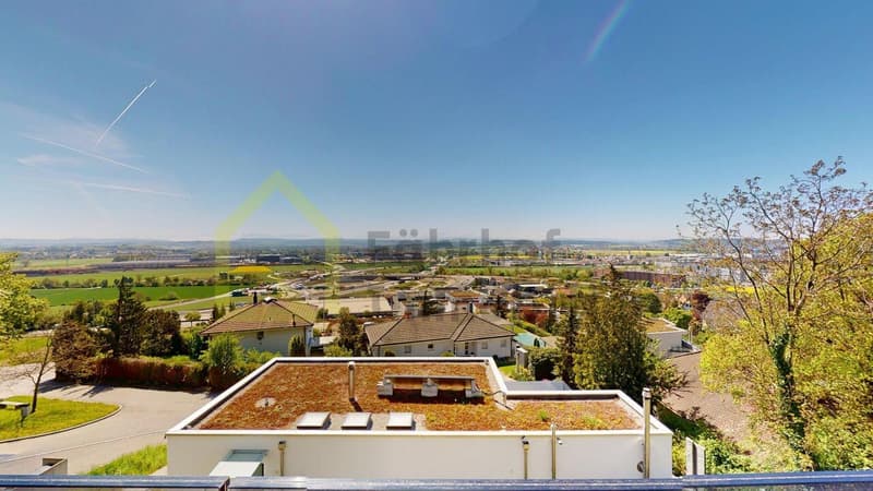 Exklusive Attikawohnung mit atemberaubender Panoramasicht (4)