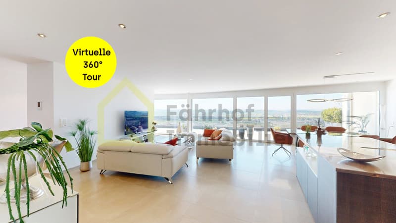 Exklusive Attikawohnung mit atemberaubender Panoramasicht (1)