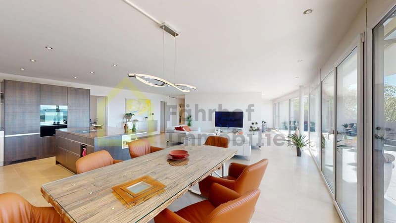 Exklusive Attikawohnung mit atemberaubender Panoramasicht (3)